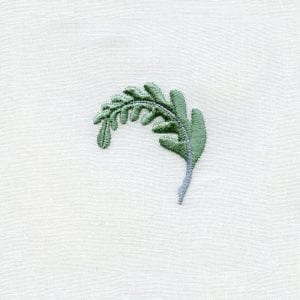 Whimsy Designs