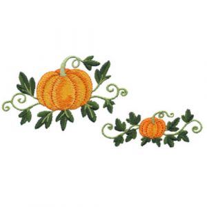 Pumpkins with Vine 