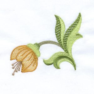 Hatched in Africa Medley - Jacobean Splendor 1