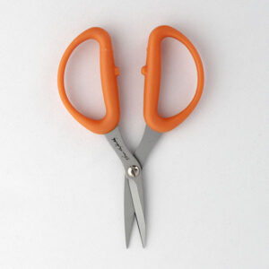 karen kay buckley scissors